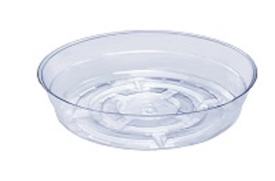 Curtis Wagner Clear 10 Inch Saucer